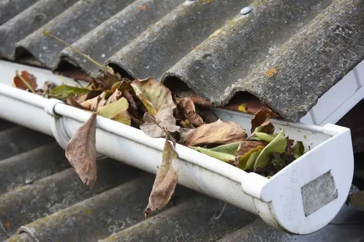 gutter-cleaning-img1 (2)